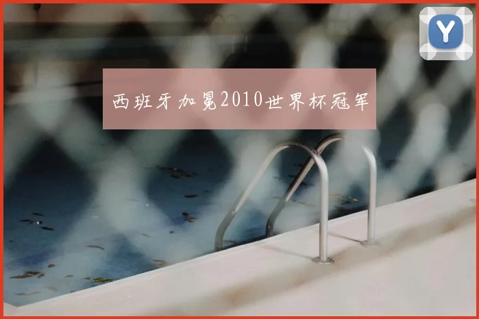 西班牙加冕2010世界杯冠军