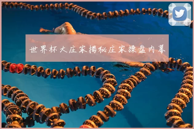 世界杯大庄家揭秘庄家操盘内幕