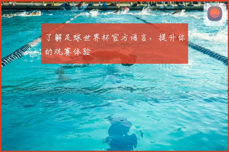 了解足球世界杯官方语言,提升你的观赛体验