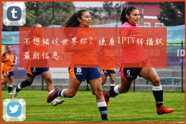 不想错过世界杯?速看IPTV转播权最新信息