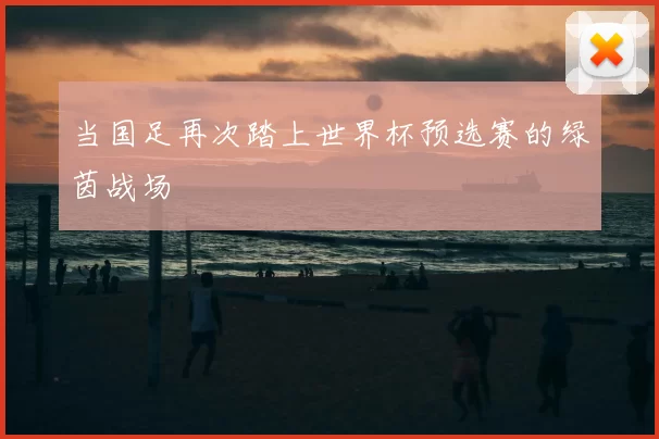 当国足再次踏上世界杯预选赛的绿茵战场