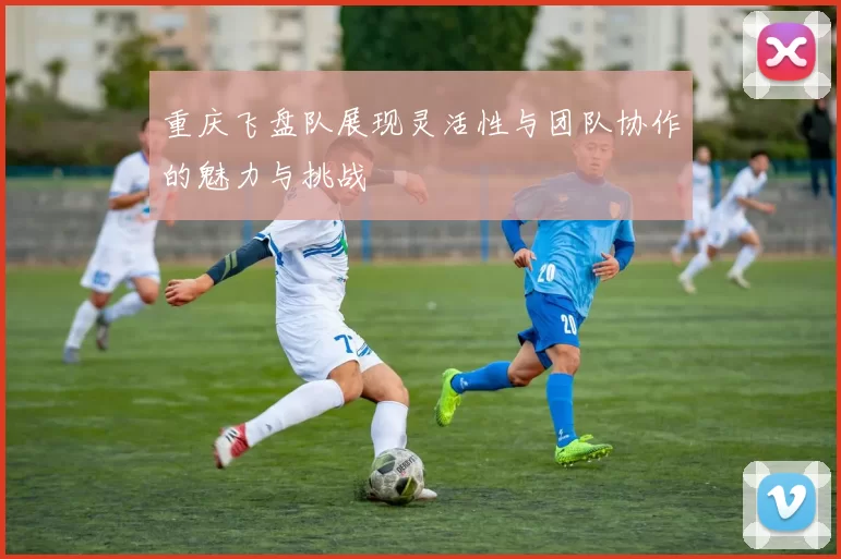 重庆飞盘队展现灵活性与团队协作的魅力与挑战