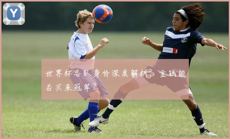 世界杯各队身价深度解析:金钱能否买来冠军?