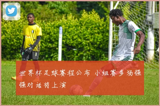 世界杯足球赛程公布 小组赛多场强强对话将上演