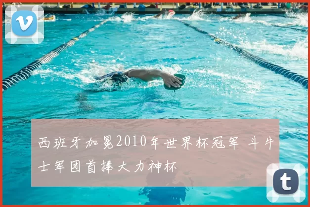 西班牙加冕2010年世界杯冠军 斗牛士军团首捧大力神杯