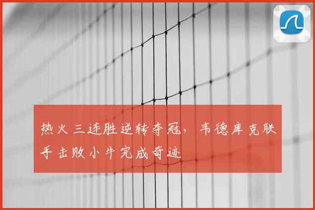 热火三连胜逆转夺冠，韦德库克联手击败小牛完成奇迹