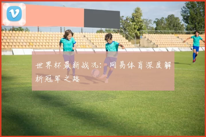 世界杯最新战况：网易体育深度解析冠军之路