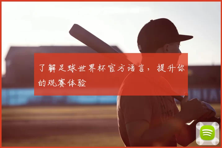 了解足球世界杯官方语言,提升你的观赛体验