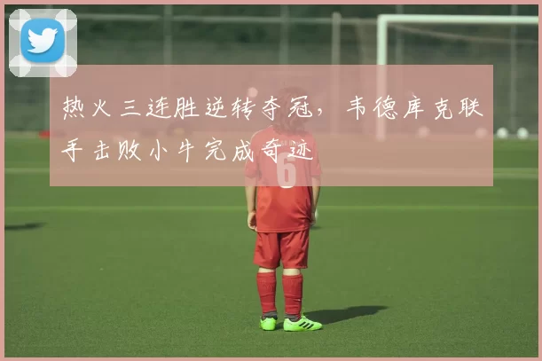 热火三连胜逆转夺冠，韦德库克联手击败小牛完成奇迹