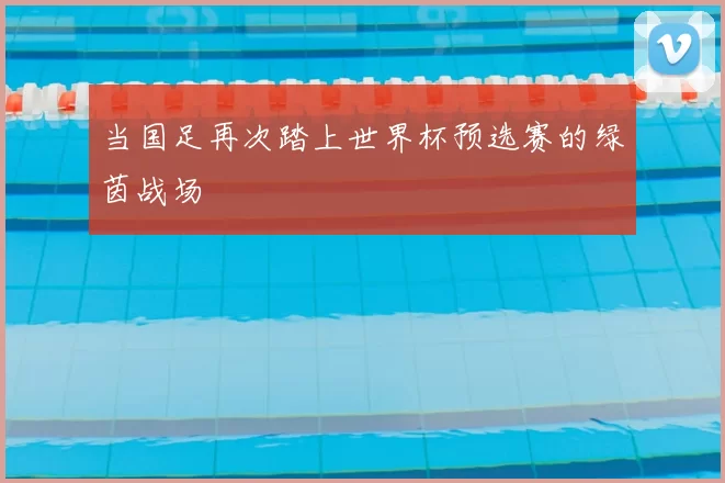 当国足再次踏上世界杯预选赛的绿茵战场