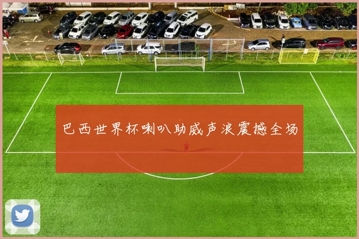 巴西世界杯喇叭助威声浪震撼全场