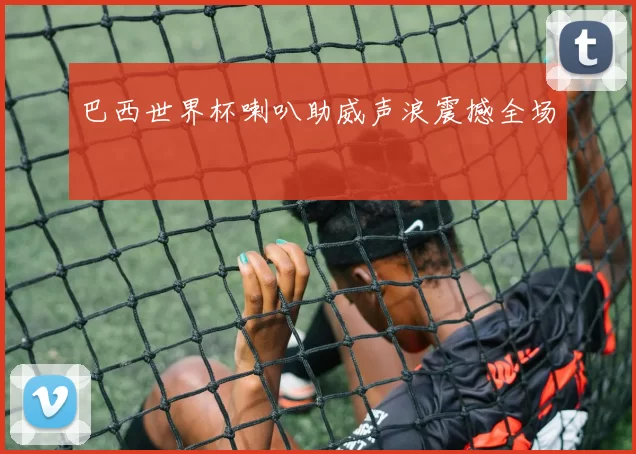 巴西世界杯喇叭助威声浪震撼全场